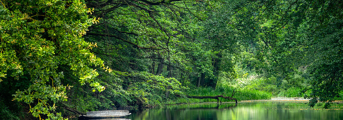 Karlsgraben (wie am Amazonas)