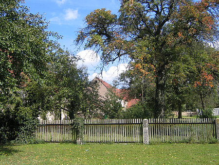 Obstbäume in Theilenhofen