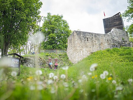 Burg - Obere Veste - 1