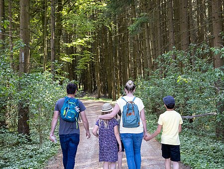 Römererlebnispfad Wandern