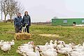 Ein Paar steht mit einem schwarz-weißen Hund vor einem Strohballen, drum herum eine Weide mit zahlreichen Enten und Puten.