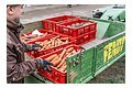Ein Mann lädt gerade rote Kisten mit Karotten auf eine Ladefläche (grüner Fendt).