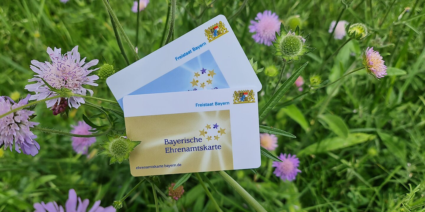 Zwei Ehrenamtskarten, eine blaue und eine goldene, liegen auf einer grünen Wiese, umgeben von lila Blumen