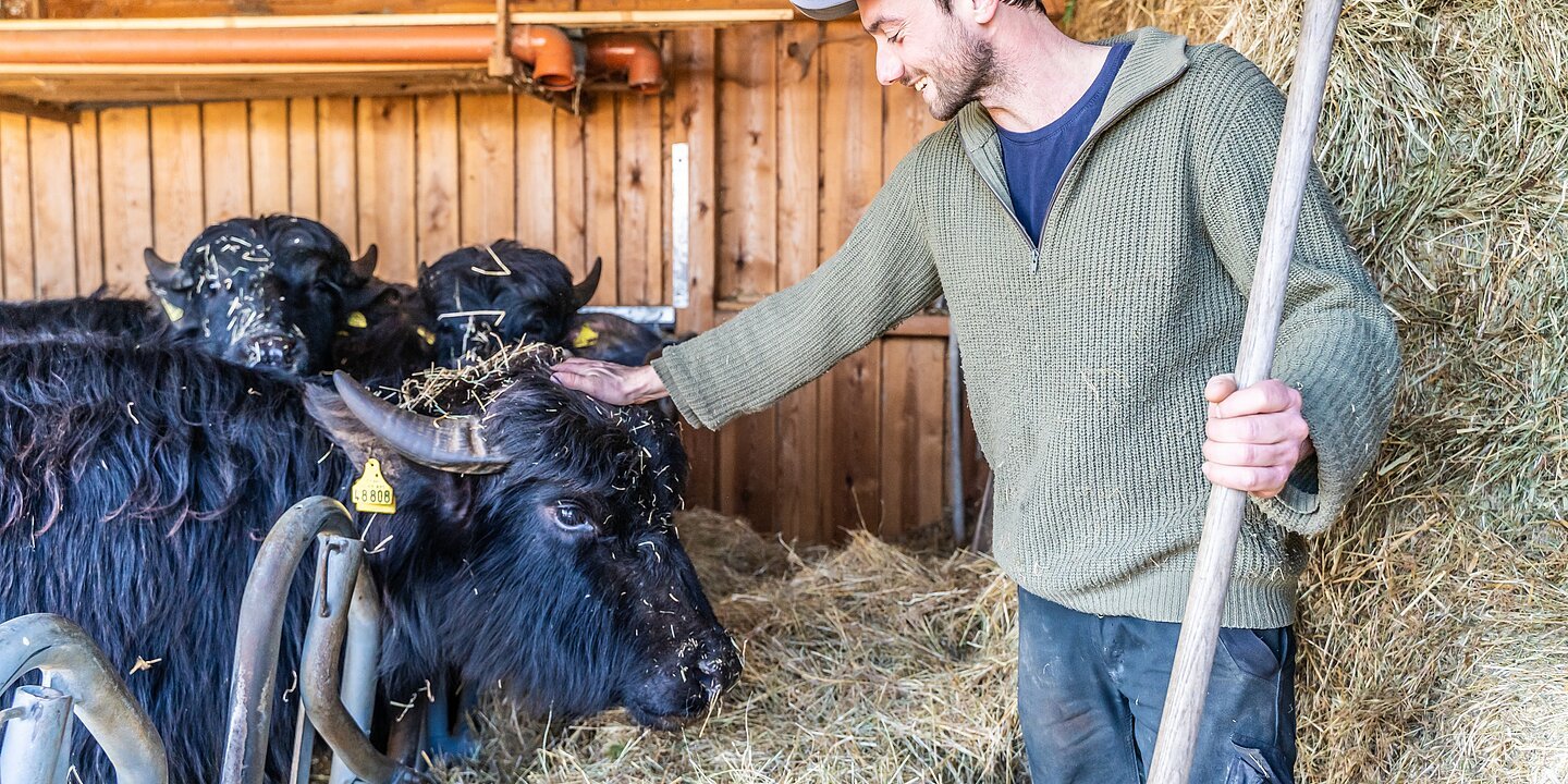 Ein junger Mann mit grünem Pullover und Cap steht in einem Stall und streichelt den Kopf eines Wasserbüffels mit Hörnern. Hinter ihm ein hoher Strohballen, in der linken Hand eine Heugabel.