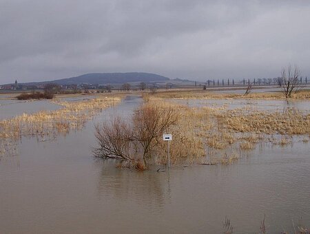 Blick von Ehlheim Richtung Alesheim