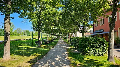 Bepflanze Promenade mit Hochwasserschutz Stadt Gunzenhausen