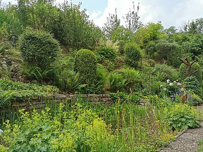 Garten mit Teich