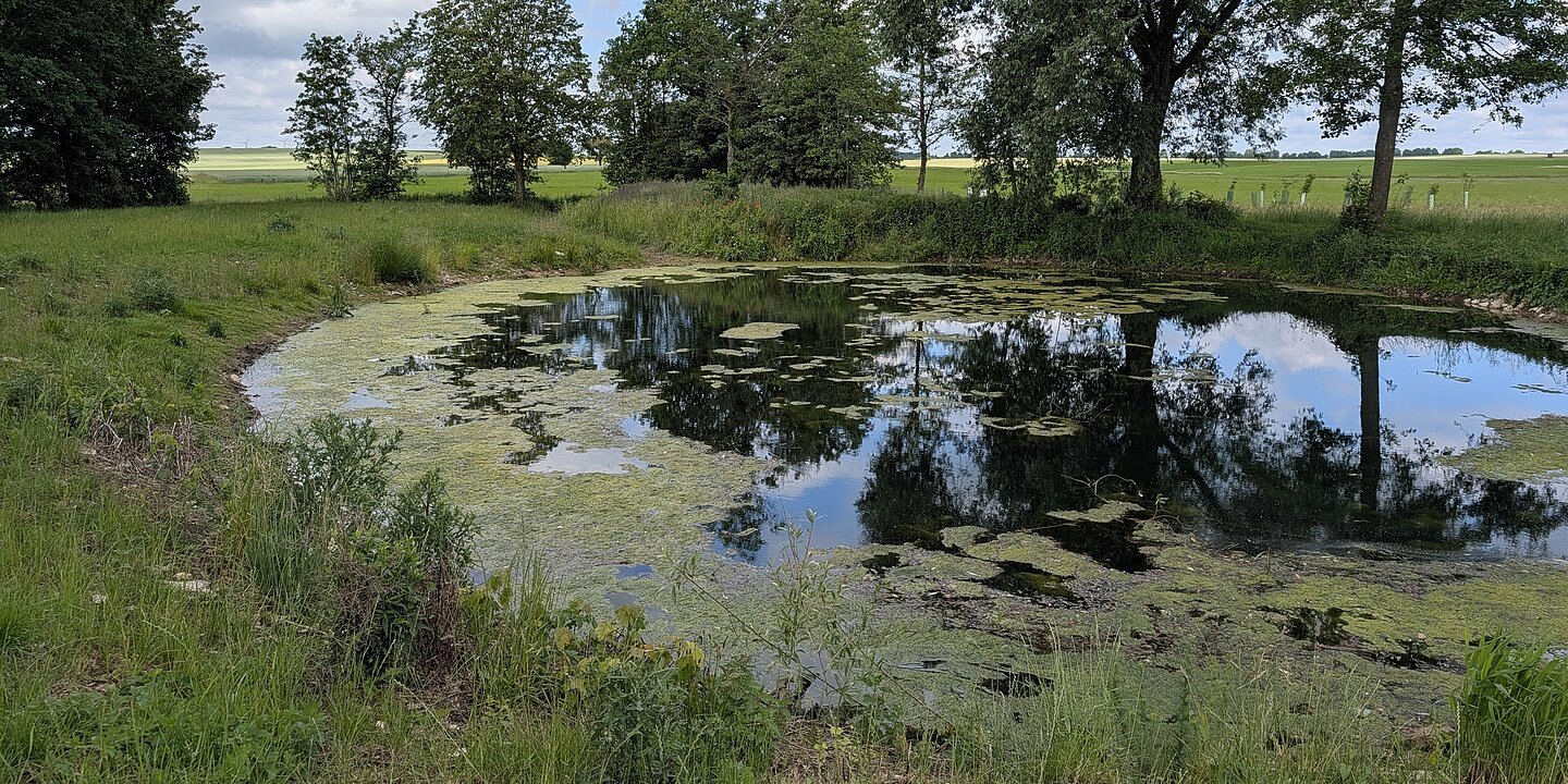 Wasserrückhaltebecken im Landkreis Weißenburg-Gunzenhausen mit Bäumen