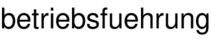 betriebsfuehrung